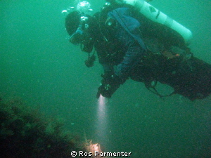 Diver on the Karlsruhe, Scapa Flow by Ros Parmenter 